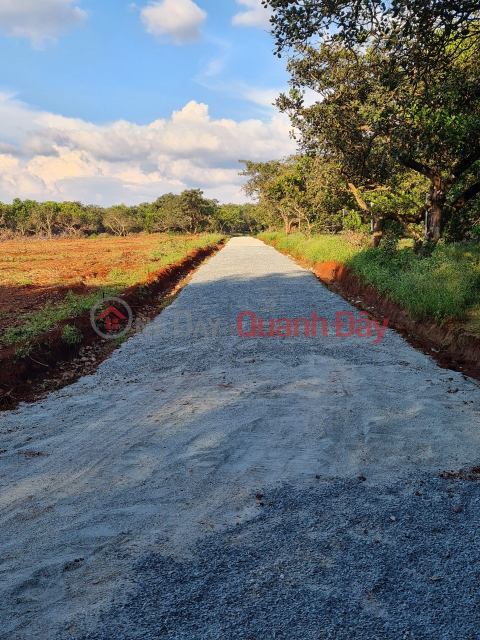 Long Binh agricultural investment land,1000m2, pink book available _0