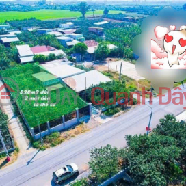 Selling grapefruit garden 528m2 with 150m2 residential land, frontage Huong Lo 9 only 4 billion 650 _0