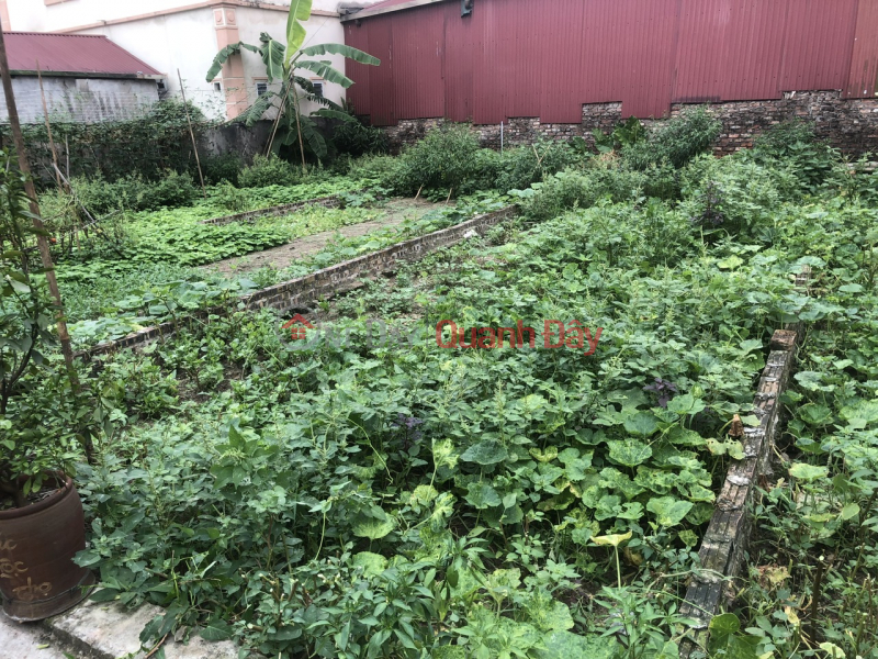 Property Search Vietnam | OneDay | Residential Sales Listings *LE XA - GIA LAM *136M, 5D MORE - NEIGHBORING VINHOME GIA LAM - CENTER - PROFIT POTENTIAL.