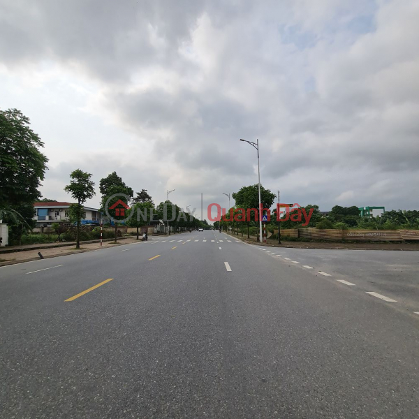 Land for sale in Trau Quy, Gia Lam, Hanoi. 61m2. Frontage 4m, road 13m, good price. Contact 0989894845, Vietnam | Sales đ 11.11 Billion