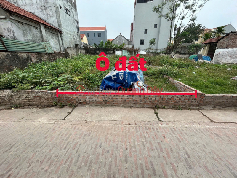 Property Search Vietnam | OneDay | Residential | Sales Listings 56.2M² LAND FOR SALE NEAR THE LAKE – IDEAL LIVING SPACE DICH TRUNG _ LIEN MINH _ HANOI
