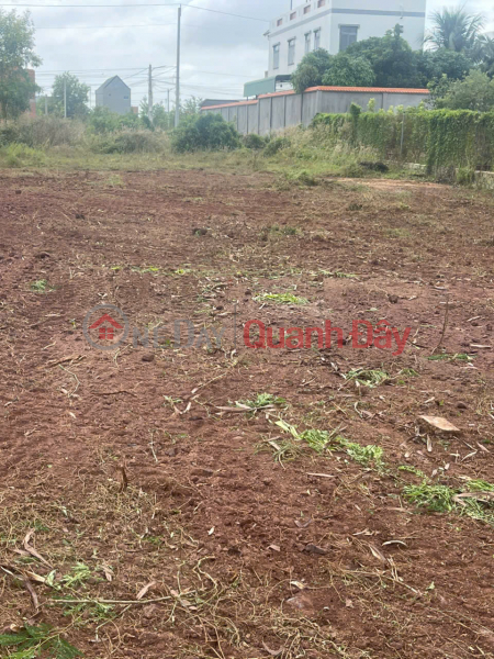 OWNER SELLING a PLOT OF LAND WITH 2 FRONTAGES IN AN NGÃI COMMUNE, LONG ĐIỀN DISTRICT, BÀ RịA VÑÁN VÑÁN. | Vietnam, Sales, đ 23 Billion