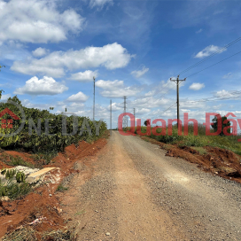 Bán lô đất tại xã Tân Thượng, huyện Di Linh, tỉnh Lâm Đồng _0