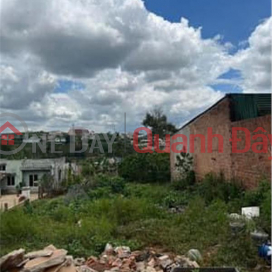 BEAUTIFUL LAND - GOOD PRICE - For Quick Sale Land Lot Prime Location In Di Linh, Lam Dong _0