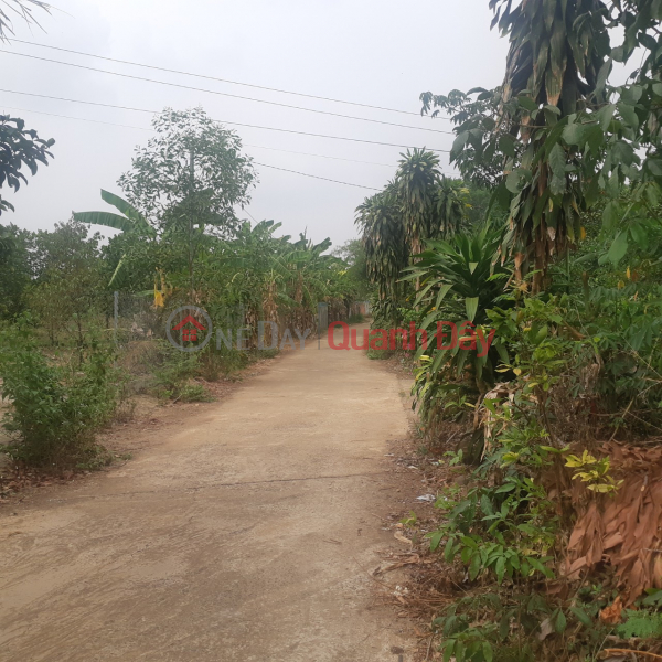 Cash-strapped at the end of the year Urgent sale of land plot near Long Thanh airport, full residential area of 140m2, price from only 350 million | Vietnam | Sales ₫ 790 Million