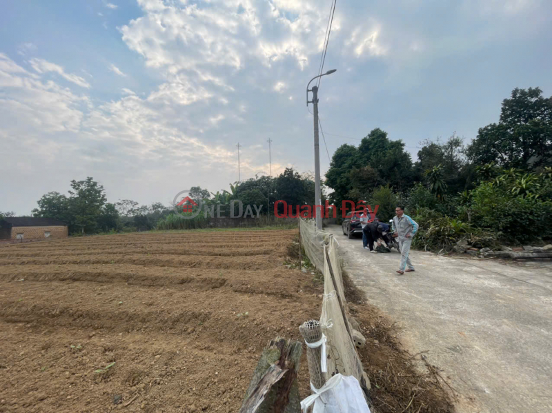Chính chủ bán đất vàng tại TDP Lễ Khê, phường Tùng Thiện - Vị trí đẹp, hạ tầng hoàn thiện - Giá hấp dẫn Niêm yết bán