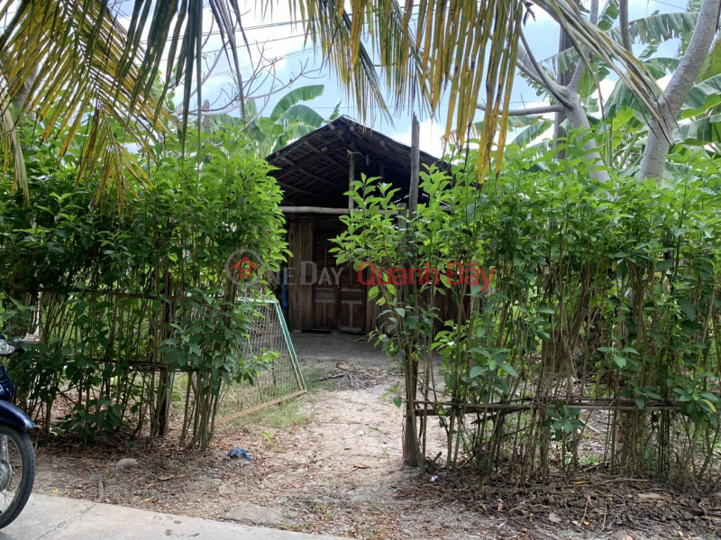BEAUTIFUL LAND - Owner Sells Land Plot Quickly In Cay Duong Town, Phung Hiep, Hau Giang Sales Listings
