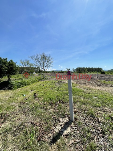 Land for sale Hon Lay Khanh Hiep Khanh Vinh for only 200 million\/lot for 1000m2 _0