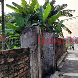 LAND FOR SALE BY OWNER - GOOD PRICE - OWNER SELLING QUICKLY - PRIME LOCATION LAND near Vinhomes Co Loa, Dong Anh, Hanoi _0