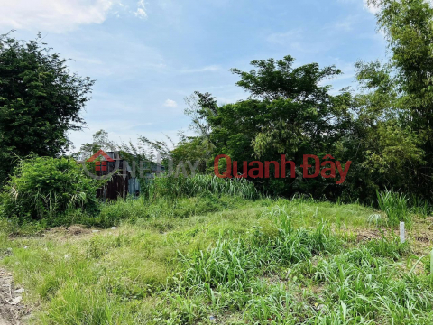 FOR SALE LAND FOR K16 STREET IN PHU THANH - PHU TAN _0