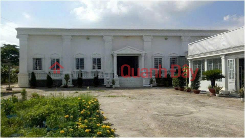 Chính Chủ Bán Gấp 1,554m2 Đất Mặt Tiền QL1A, xã Nhị Thành, huyện Thủ Thừa, Long An _0