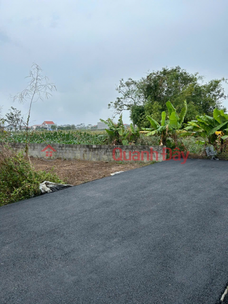 9xx MILLION VND – LAND PLOT IN THU DU MINH TAN – 4M WIDE ASPHALT ALLEY – RARE PRICE IN THE AREA. ZALO 0567 222 555 Sales Listings