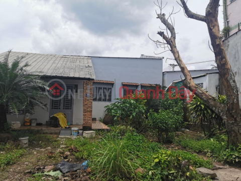 NHÀ CHÍNH CHỦ - GIÁ TỐT - Bán Nhà Mặt Tiền Đường Nguyễn Minh Quang, Phường Ngã Bảy, Hậu Giang _0