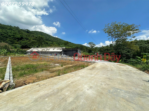 Chính chủ em bán gấp lô đất 300m Xóm Liên Khuê, Xã Cư Yên, Huyện Lương Sơn, Hòa Bình _0