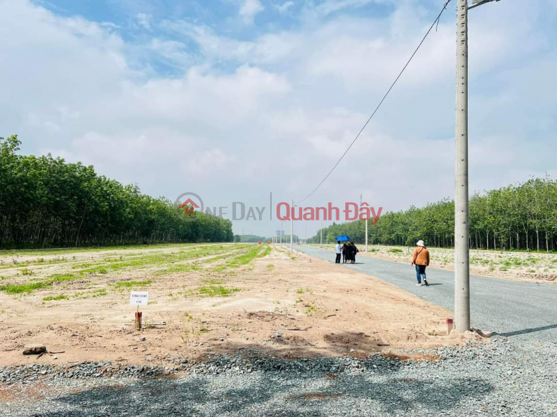 Available land near Becamex Chon Thanh industrial park at cheap price Sales Listings