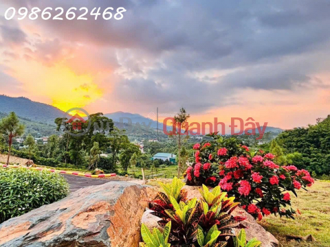 Selling 250 - 300m2 of land with a view like Da Lat. Cheap price _0