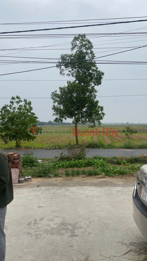 Land for sale in Kien Xuong district, area 160m2, price only about 3.9 billion _0