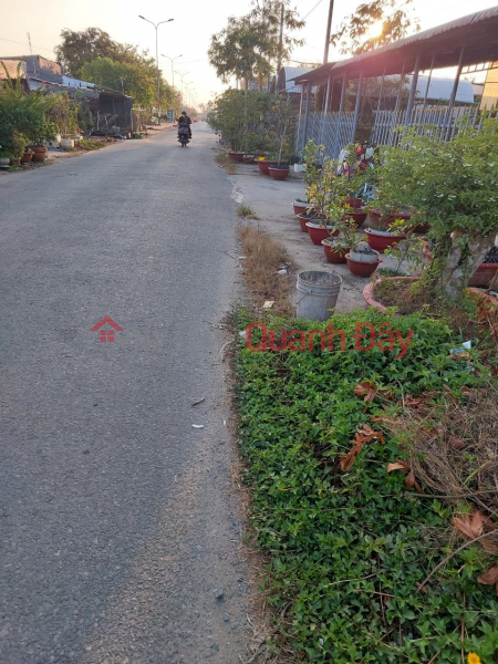 Property Search Vietnam | OneDay | Residential Sales Listings BEAUTIFUL LAND - GOOD PRICE - Owner Needs to Sell Land Plot Quickly in My Quoi - Cay Duong - Phung Hiep - Hau Giang