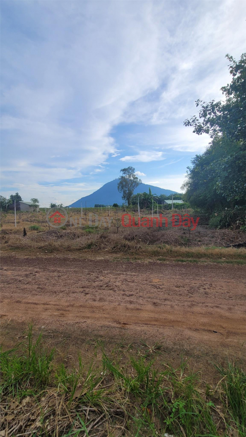 PRIMARY LAND - FRONT FACE - Beautiful Location In Tan Trung B Hamlet, Tan Hung Commune, Tan Chau, Tay Ninh _0