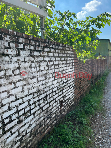 Property Search Vietnam | OneDay | Nhà ở, Niêm yết bán BÁN ĐẤT 3 thoáng MẶT PHỐ, PHÚ VIÊN, BỒ ĐỀ ,LONG BIÊN 110m², MẶT TIỀN 7m – GIÁ 21 TỶ