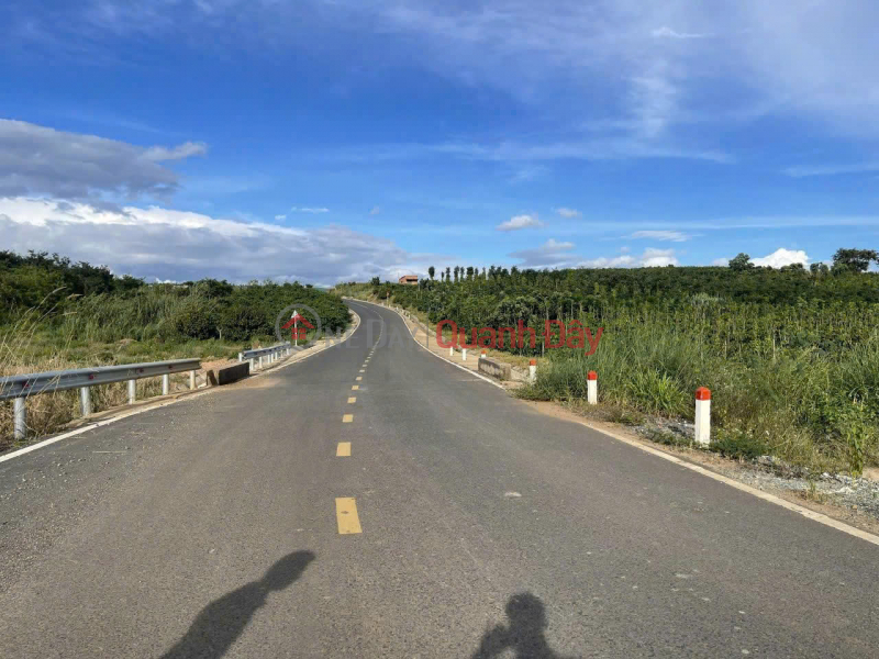BÁN 1000m² ĐẤT ĐẸP – GIÁ 630 TRIỆU - Vị trí: Tân Hà, Lâm Hà, Lâm Đồng | Việt Nam | Bán, đ 630 triệu