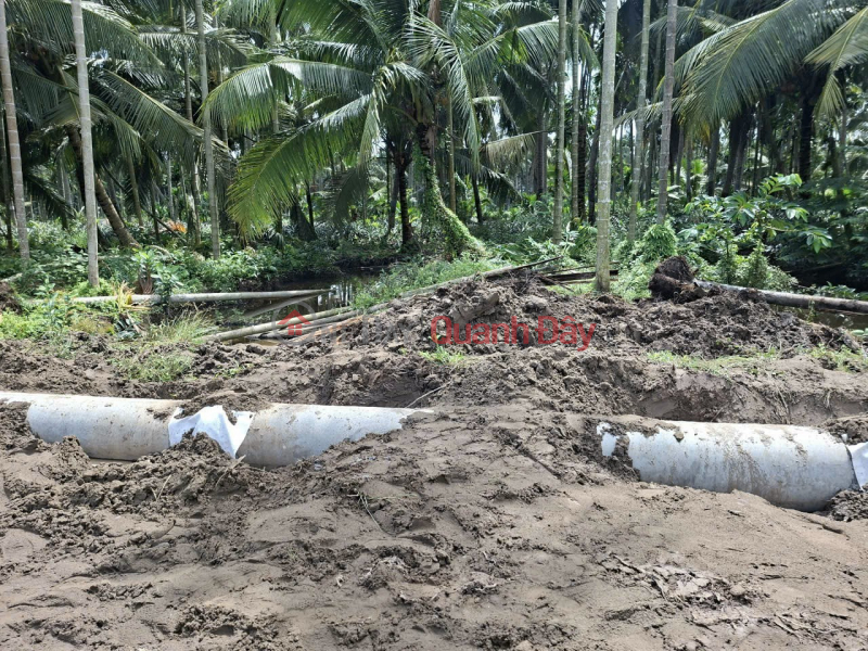đ 430 Million, BEAUTIFUL LAND - GOOD PRICE - OWNER NEEDS TO SELL Land in Binh An Commune, Chau Thanh, Kien Giang