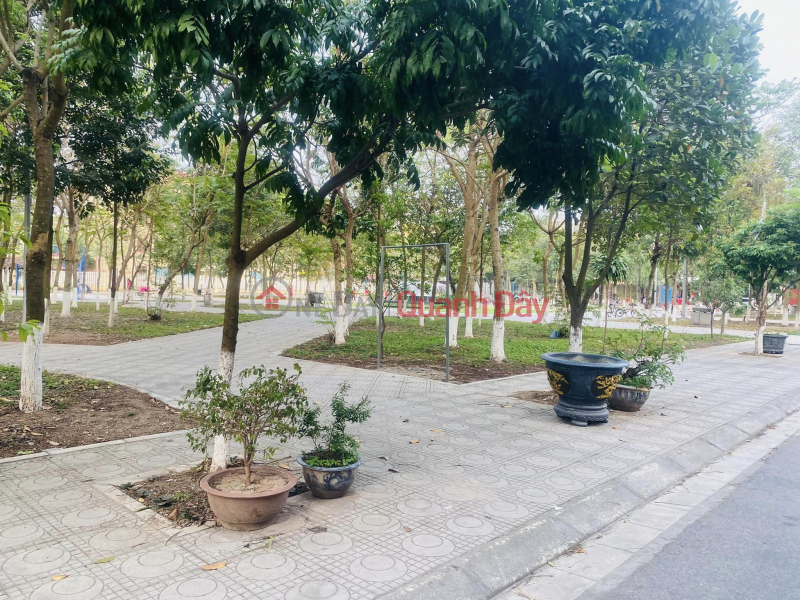 Property Search Vietnam | OneDay | Residential Sales Listings FOR SALE... POT OF BEAUTY GARDEN WITHOUT BENEFITS - NOUTWEST- BY ROYAL HOA THANH SCHOOL!