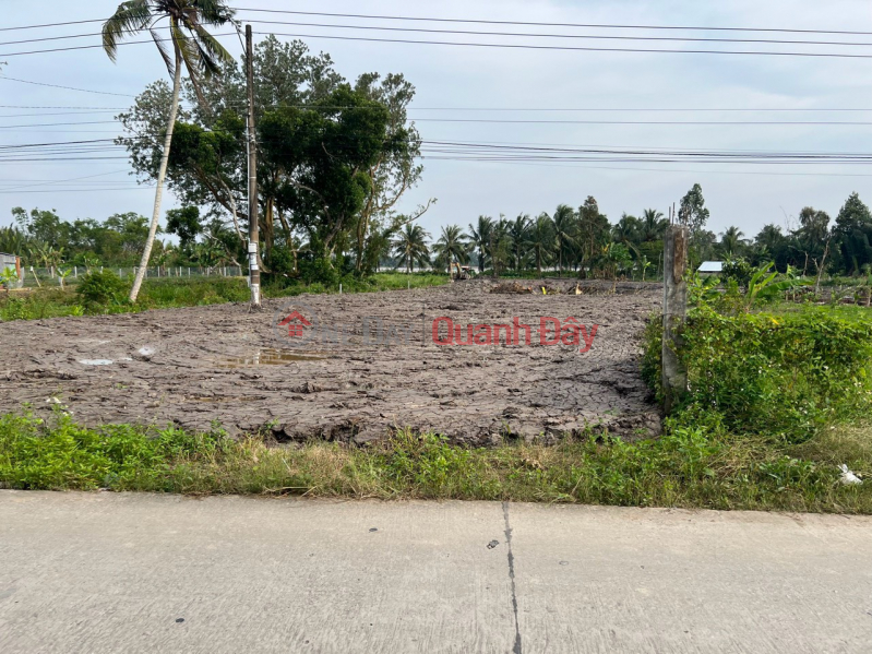 OWNER FOR SALE 2316.5m of Land for Perennial Plants, 600k m2 Land, Beautiful Location Chau Thanh, Kien Giang Sales Listings