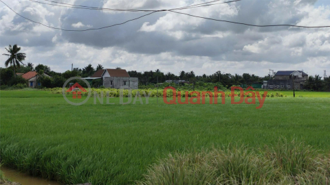 Beautiful Land - Good Price - Owner Needs to Sell a Lot of Land in a Good Location in Thanh Duc Commune, Ben Luc, Long An _0