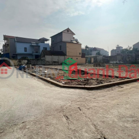 Land for sale in Manh Tan Thuy Lam - 40m2 with car access - Approximately 900 million _0