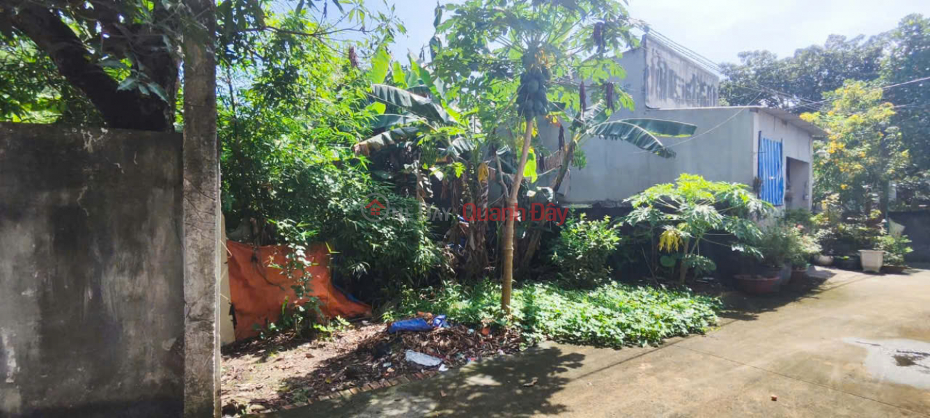 Property Search Vietnam | OneDay | Nhà ở | Niêm yết bán | Chính chủ bán đất Phước Tân, gần bệnh viện phổi Đồng Nai - 240m2, thổ cư, sổ riêng, giá 6,7 tỷ
