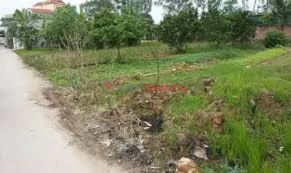 Urgent sale of garden land by owner at alley Duong Ky Hiep street, Ward 2, Soc Trang City, Soc Trang Province Sales Listings