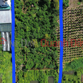Owner Needs to Sell Land Lot with Beautiful Location in Loc Quang Commune, Bao Lam District, Lam Dong _0