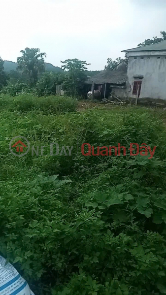 LAND FOR SALE BY OWNER - GOOD PRICE Need to sell quickly a plot of land in a prime location in Ba Vi district, Hanoi City, Vietnam, Sales, đ 6 Billion
