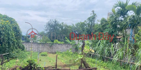 OWNER SELLS SUPER BEAUTIFUL LAND LOT OF 173M2 IN NAM PHUONG TIEN-CHUONG MY-HANOI _0
