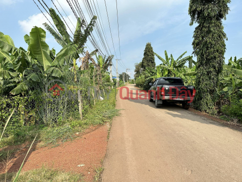 Land for sale with 2 main plastic frontages in Cay Gao Commune, Trang Bom District, Dong Nai Province. 0938974428 _0