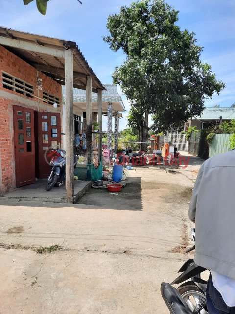 PRIME LAND - GREAT PRICE - Urgent Sale of Land Plot in Binh Luong 1 Hamlet, Binh Thanh Commune, Thu Thua District, Long An Province. _0