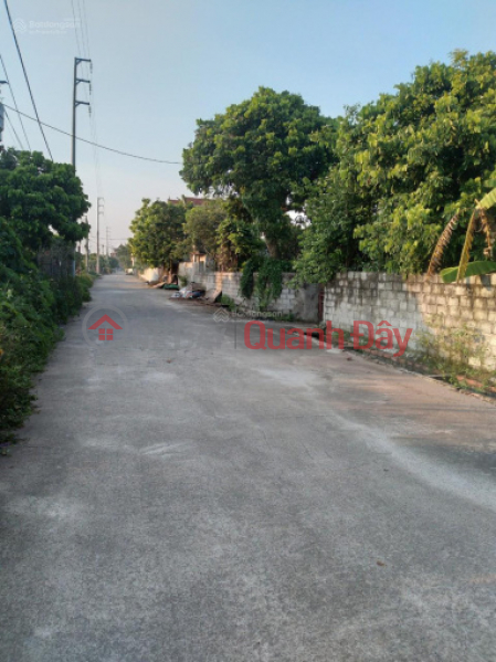 Need money to recover capital, quickly sell land in Duyen Ha, Thanh Tri. Sales Listings