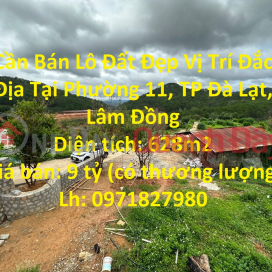 Beautiful Land For Sale Good Location In Ward 11, Da Lat City, Lam Dong _0