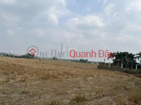 Land for sale in Tan Buu, Ben Luc, Long An 20,335m2 price 3.5 million\/m2 300m from Nguyen Huu Tri street _0