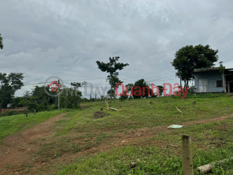 BEAUTIFUL LAND FOR SALE 1HA4 FLAT LAND IN EAPO, CU JUT, DAK NONG - CAR ON THE LAND _0