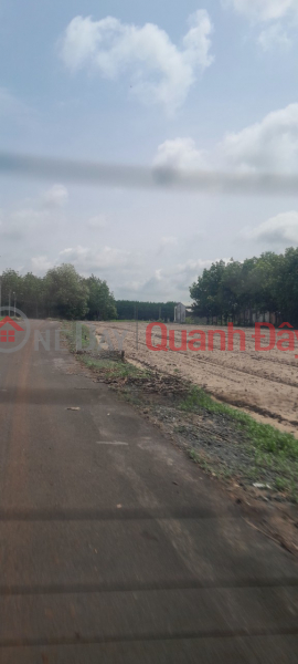 Owner sells Cheap Chon Thanh Land with Asphalt Road - Red Book - RESIDENTIAL 250 million - Bank Support 50% Sales Listings