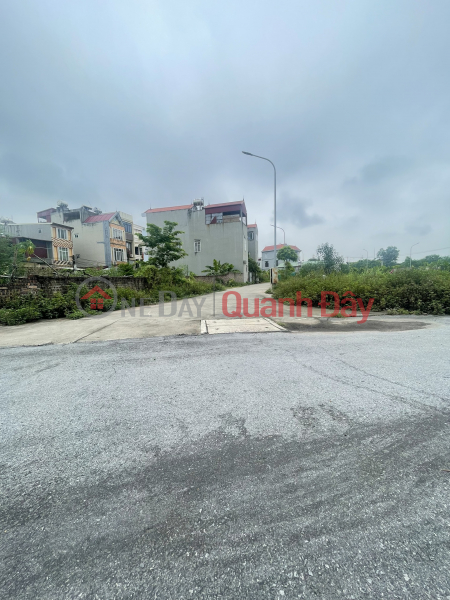 Land for sale in Dong Hoi Dong Anh 59m by car, near Tu Lien Bridge Sales Listings