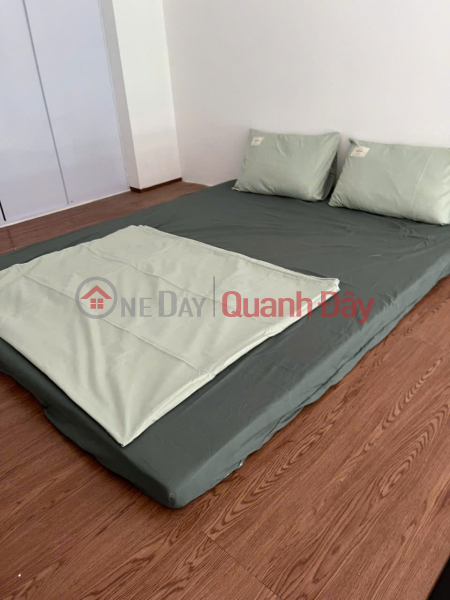Toà căn hộ 4 tầng gồm 14 phòng Ngô Thì Nhậm đã FULL khách thuê, Việt Nam | Bán đ 10,9 tỷ