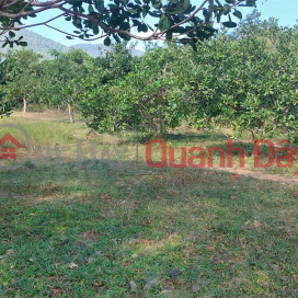 Family needs to sell garden land 12,588m2 frontage concrete road 283m Phuoc Tien, Bac Ai Ninh Thuan. Price 440 million. _0