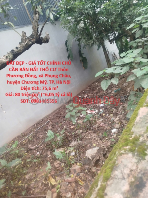 ĐẤT ĐẸP - GIÁ TỐT CHÍNH CHỦ CẦN BÁN ĐẤT THỔ CƯ -xã PHỤNG CHÂU, CHƯƠNG MỸ, HÀ NỘI _0