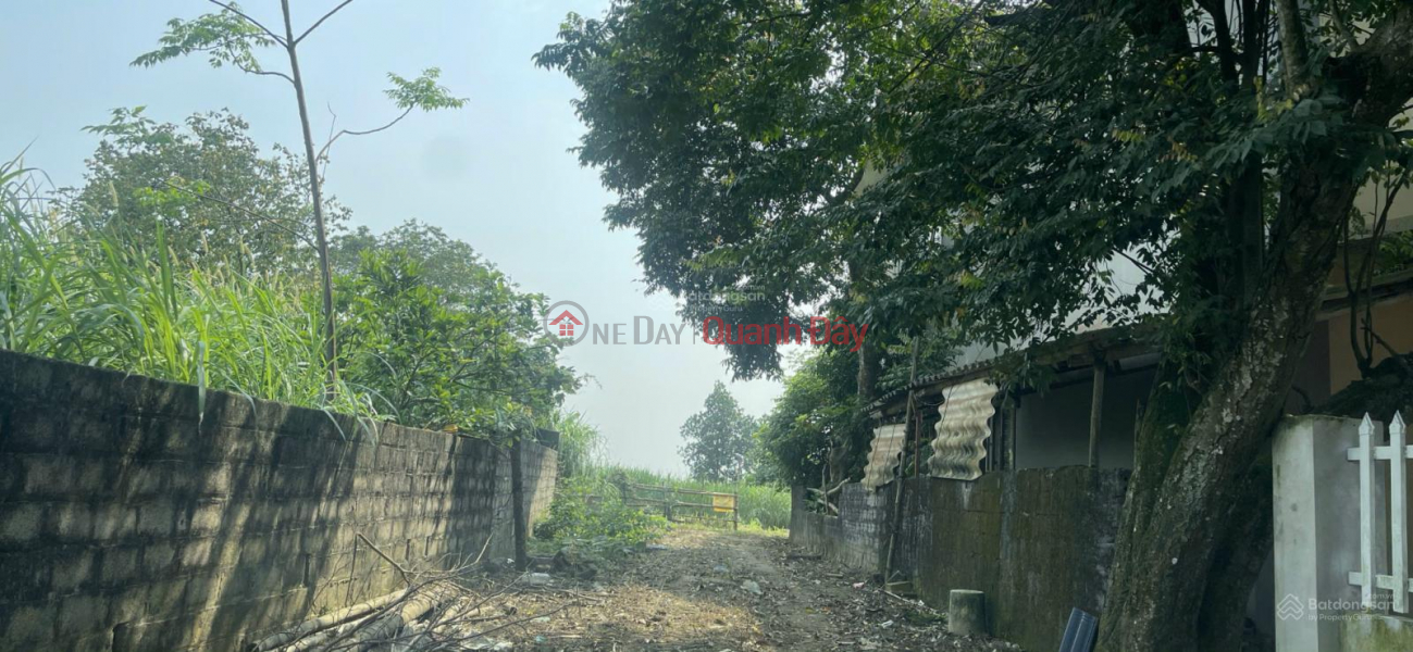 OWNER SELLING 1,080M2 LAND WITH TITLE DEED, 30M FRONTAGE, FULL AMENITIES, LOCATED RIGHT ON TL87A - YEN BAI | Vietnam, Sales | đ 6.98 Billion