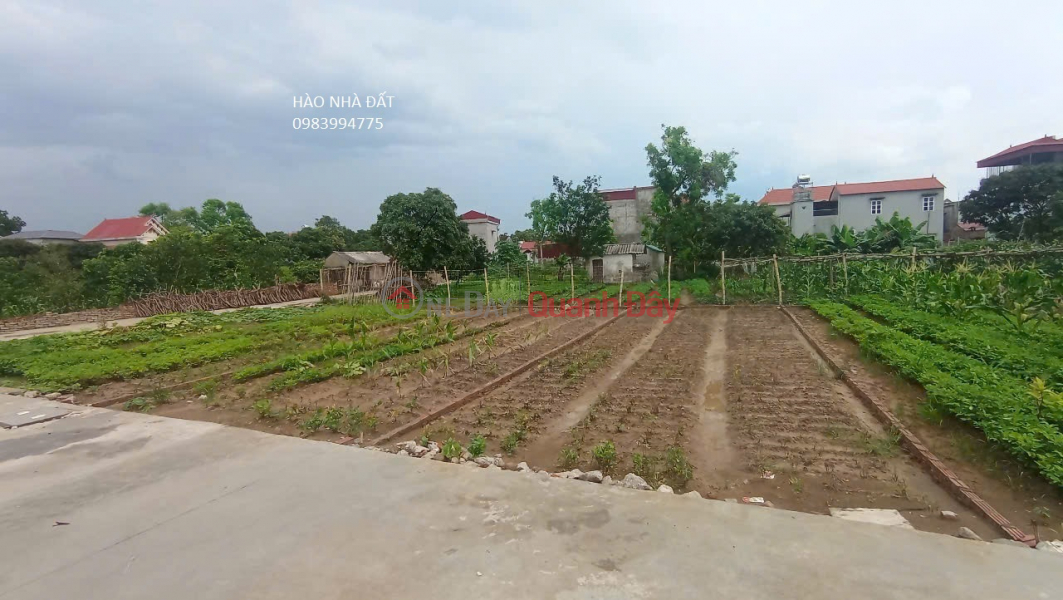 LAND FOR SALE IN PHU HOA, LUONG TAI. 95M2 * FRONTAGE 5.6M * 1.58 BILLION. CAR ACCESSIBLE. FULL RESIDENTIAL LAND, Vietnam, Sales | đ 1.58 Billion