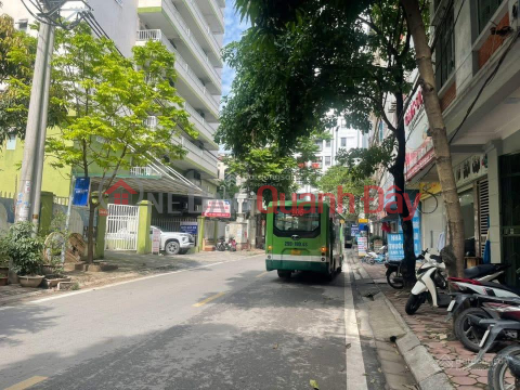 Nguyen Son Ha street frontage 48m², subdivided plot, sidewalk - Top business - 14.5 billion _0