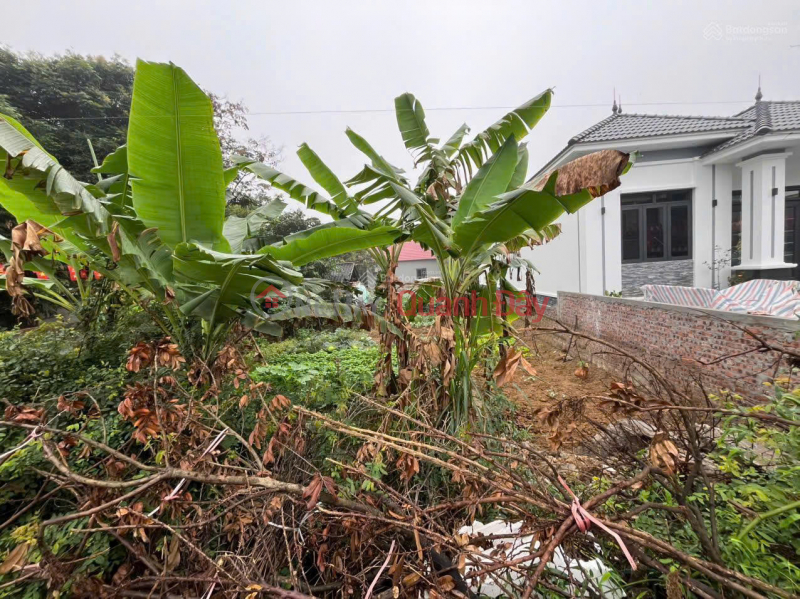 đ 9,7 tỷ, CẦN TIỀN BÁN GẤP ĐẤT NGHỈ DƯỠNG ĐẸP QUỐC OAI - SỔ ĐỎ CHÍNH CHỦ